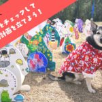 2019年の澎湖(ポンフー)海上花火節について 2019年の澎湖(ポンフー)海上花火節について